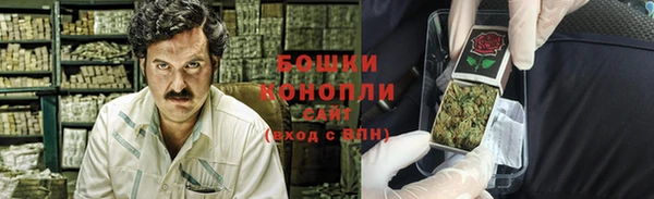 твердый Краснослободск