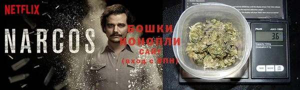 твердый Краснослободск