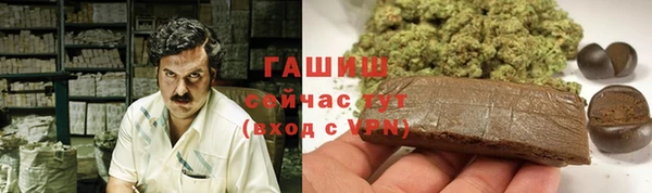 твердый Краснослободск