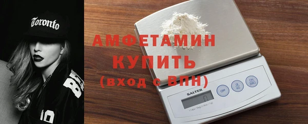 твердый Краснослободск