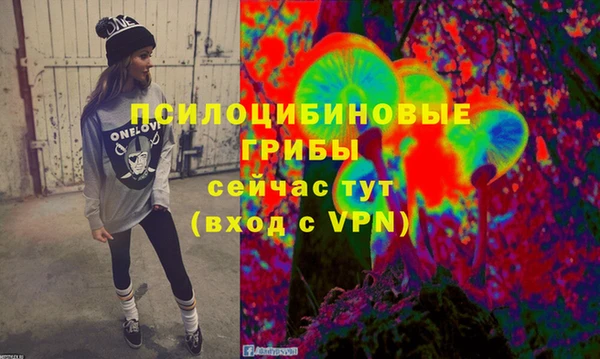 мдпв Краснотурьинск