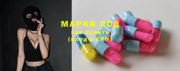 твердый Краснослободск
