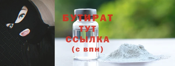 твердый Краснослободск