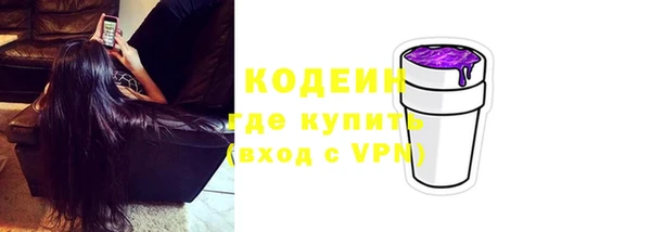 твердый Краснослободск