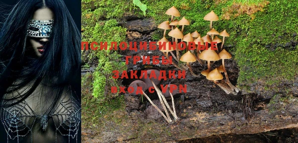 синтетический гашиш Красноперекопск