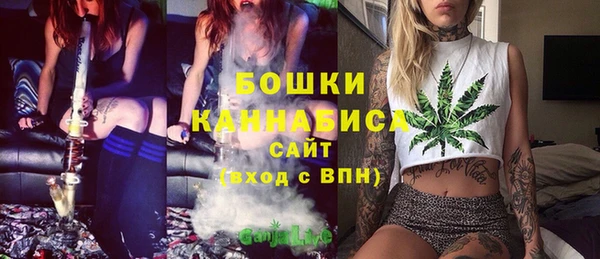твердый Краснослободск