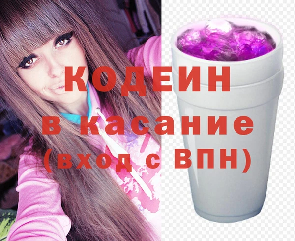 твердый Краснослободск