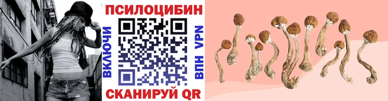 где продают наркотики Михайловка Галлюциногенные грибы Magic Shrooms